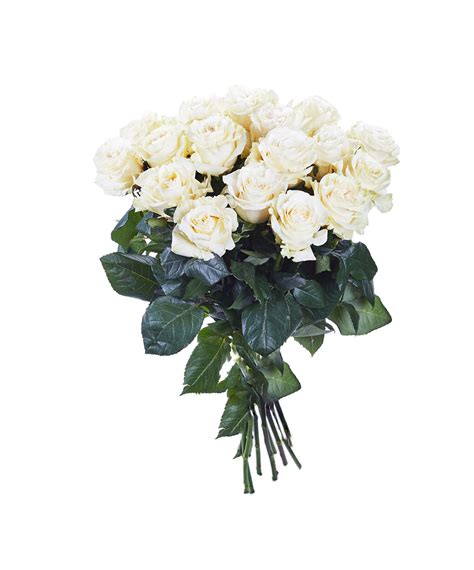 Bouquet De Roses Blanches Longues Tiges 70 Cm Autant De Fleurs Aubagne