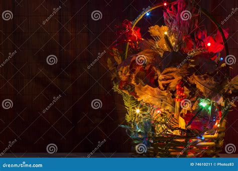 Orthodox Christmas tree stock image. Image of badnjak - 74610211