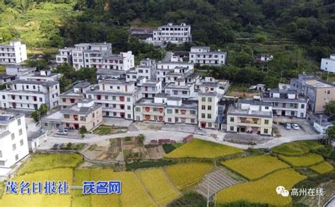 高州这条村打造美丽乡村，农房风貌管控工程建设正酣！腾讯新闻