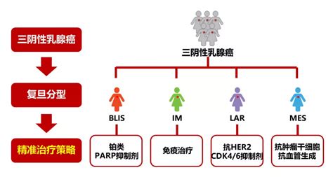 邵志敏教授：立足自身优势，做好临床研究——三阴性乳腺癌精准治疗的复旦实践腾讯新闻