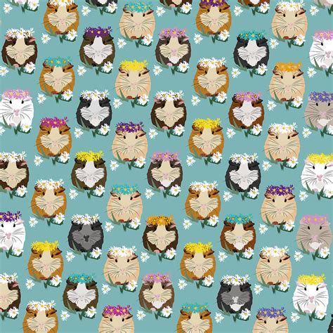 Guinea Pig Wrapping Paper Great T Wrap For Guinea Pig Etsy