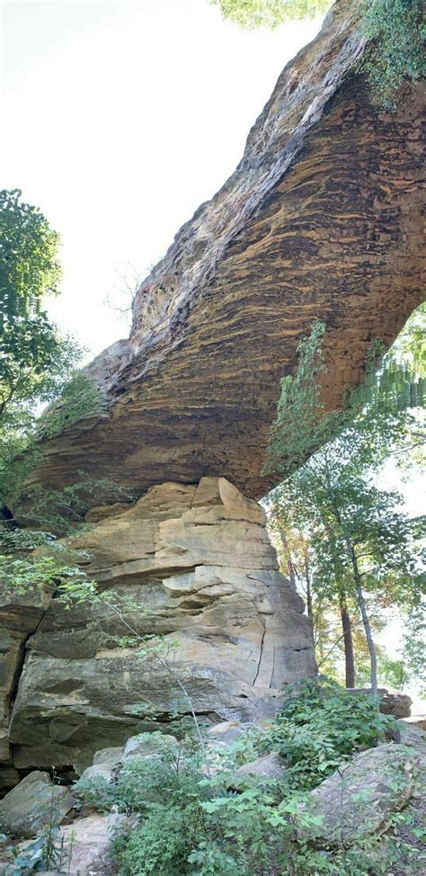 Original Natural Bridge Trail - Kentucky | AllTrails