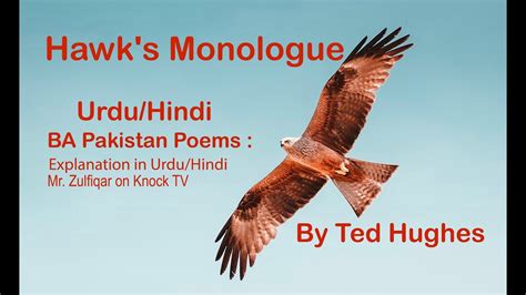 Hawks Monologue By Ted Hughes Hawks Monologue Poem Ba Pakistan Poem