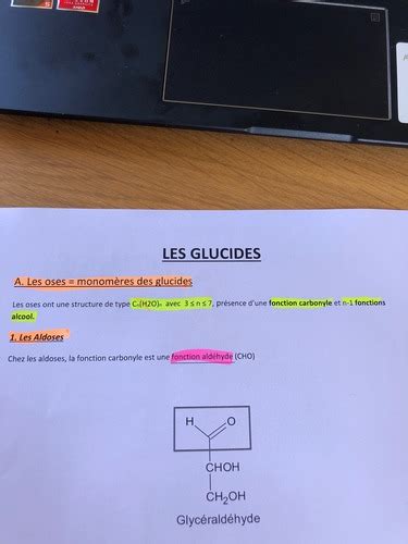 Biochimie Et Bio Mol Culaire Flashcards Quizlet