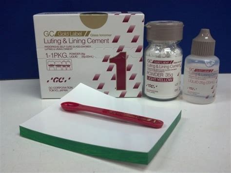 Gc Fuji Glass Ionomer Cement Type 1 Luting Big At Best Price In Meerut