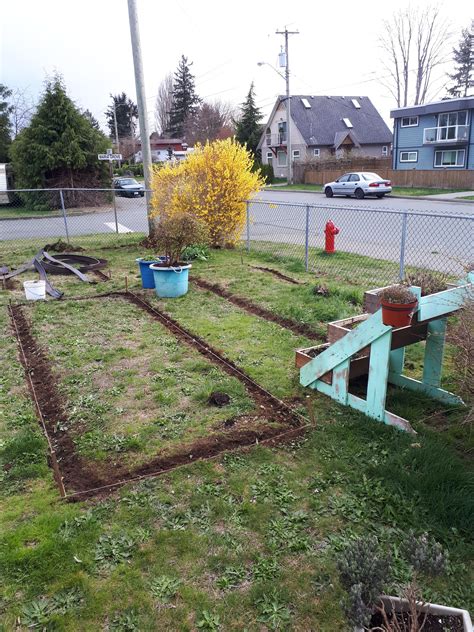 Transforming an ugly front yard on Vancouver Island : r/gardening