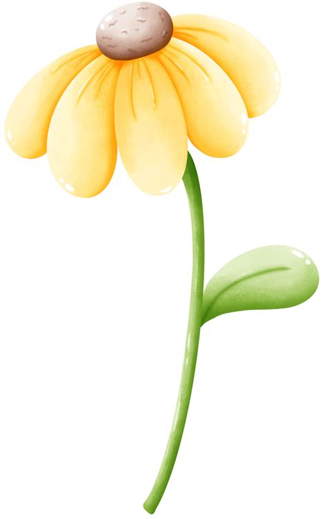 Yellow daisies blooming 42847592 PNG