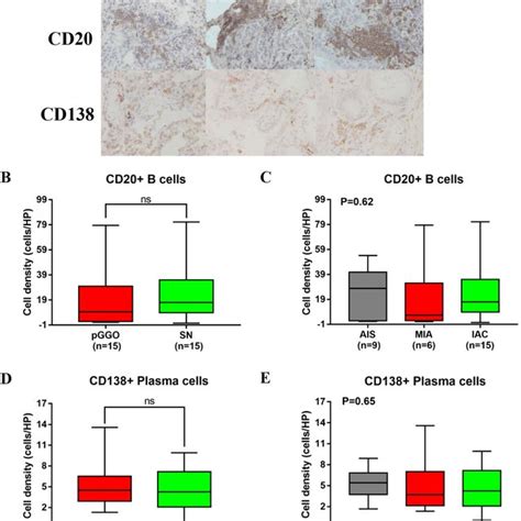 Assessment Of Cd68 Tumor Associated Macrophages Tams And Download Scientific Diagram