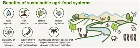 Hidden Costs of Agri-Food Systems - Civilsdaily