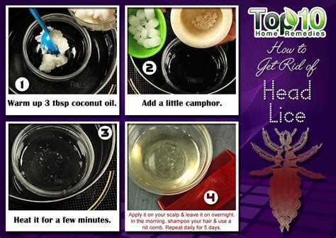 How To Get Rid Of Head Lice Top 10 Home Remedies