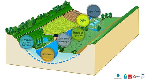 Restauration Des Milieux Aquatiques Syndicat Mixte Du Bassin De La