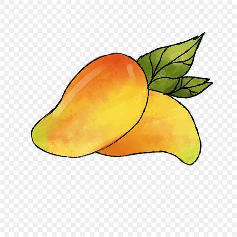 Hand Drawn Mango PNG Image Summer Fresh Mango Hand Drawn Illustration