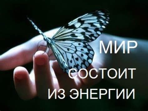 Волински Стивен (Стефен) — Квантовое Сознание (Аудиокнига ч. 5) - YouTube
