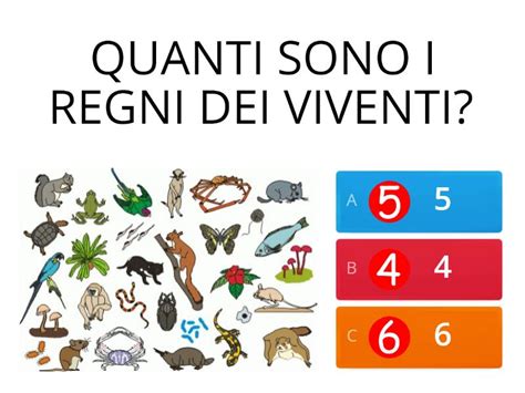 ESSERI VIVENTI Quiz