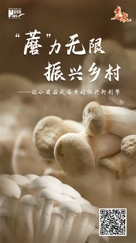 乡味丨广东韶关：小菌菇激发乡村振兴大“蘑”力 新华网