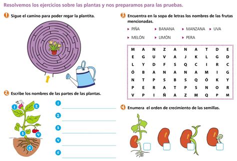 Qué sabemos de las plantas Escolar ABC Color