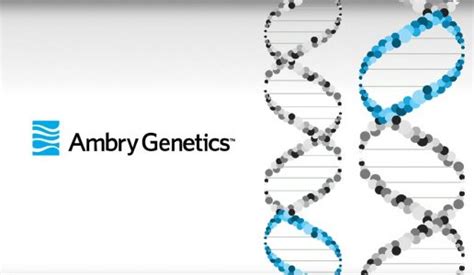 Ambry Genetics - Overview | Presentation portfolio | BrightCarbon