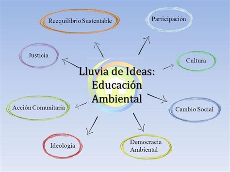 lluvia de ideas sobre la contaminación Brainly lat