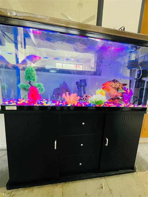 Rs Aquarium Tank 3Feet With Trolly At Rs 26000 Piece Aquarium Tank In