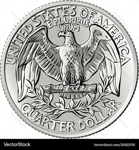 Bald eagle washington quarter 25 cent coin Vector Image