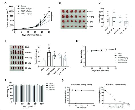 Bjikt Inhibited The Tumor Growth Of The Mc38 Colorectal Tumor Mc38