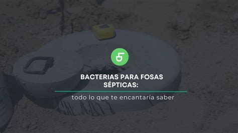 Bacterias para fosas sépticas todo lo que te encantaría saber