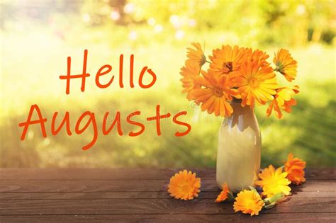 Hello August. Country Landscape with Calendula Flowers in Sunlight