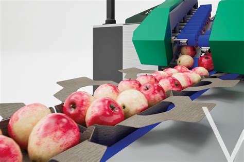 Frutmac Jollypack VARIO Products Machines