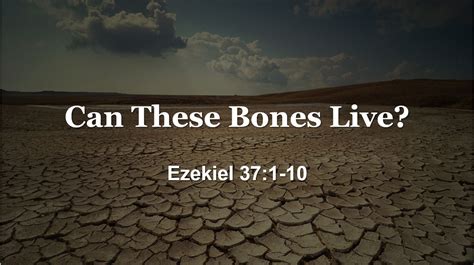 Can These Bones Live? | Waverly Church of Christ