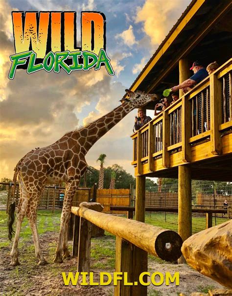 Wild Florida Drive-Thru Safari Park re-opens on Monday!