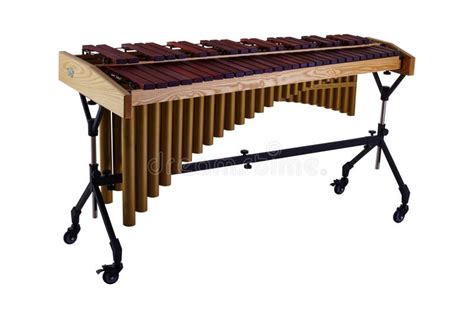 Xylophone Is A Percussion Instrument Atelier Yuwaciaojp