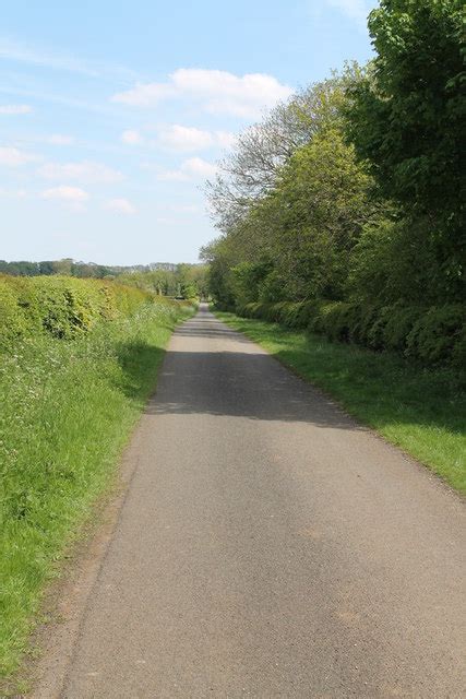 A Lane Along Cooper S Plantation J Hannan Briggs Geograph Britain