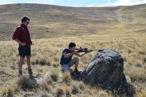 Hunt Tekapo Mackenzie Region New Zealand