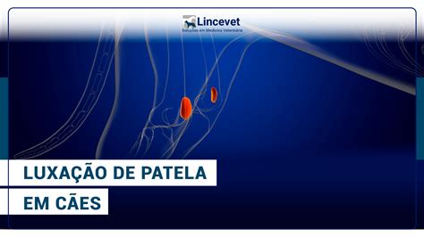 Luxa O De Patela Em C Es E Seus Tratamentos Lincevet