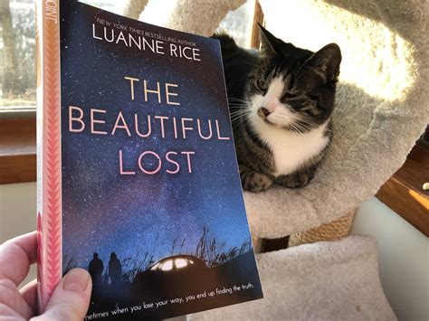 Luanne Rice Author of The Beautiful Lost — Luanne Rice