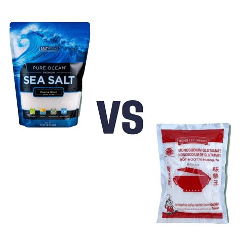 Sea Salt vs MSG – Which is Healthier? | 10almonds