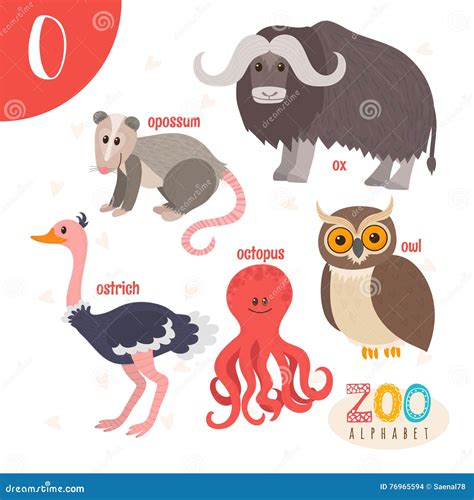 Opossum. O Letter. Cute Children Animal Alphabet In Vector. Funny ...