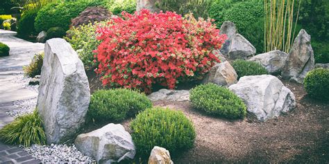 How To Build A Rock Garden Platt Hill Nursery Blog Advice