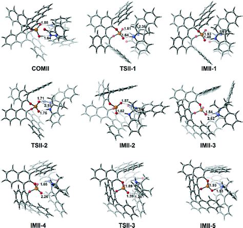 The Optimized Geometries Of The Complex Transition States And