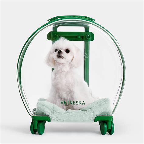 VETRESKA Dog & Cat Carrier Customer Questions - Chewy.com