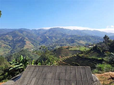 premium photo canh ep  nha