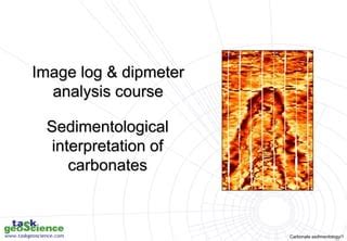 Interpretation Of Carbonates Ppt