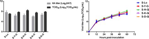 Ha Titer Median Tissue Culture Infectious Dose Tcid50 And Growth Download Scientific Diagram