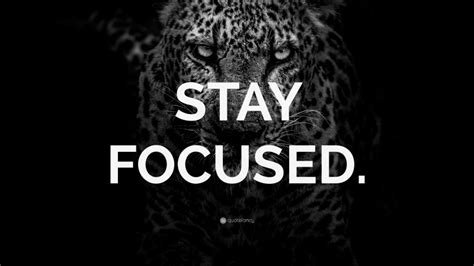 Stay Focused Wallpaper By Quotefancy