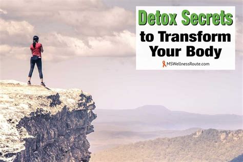 Detox Secrets To Transform Your Body MS Wellness Route