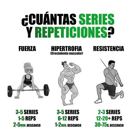 Series Y Repeticiones Para Hipertrofia Rutinas De Entrenamiento De