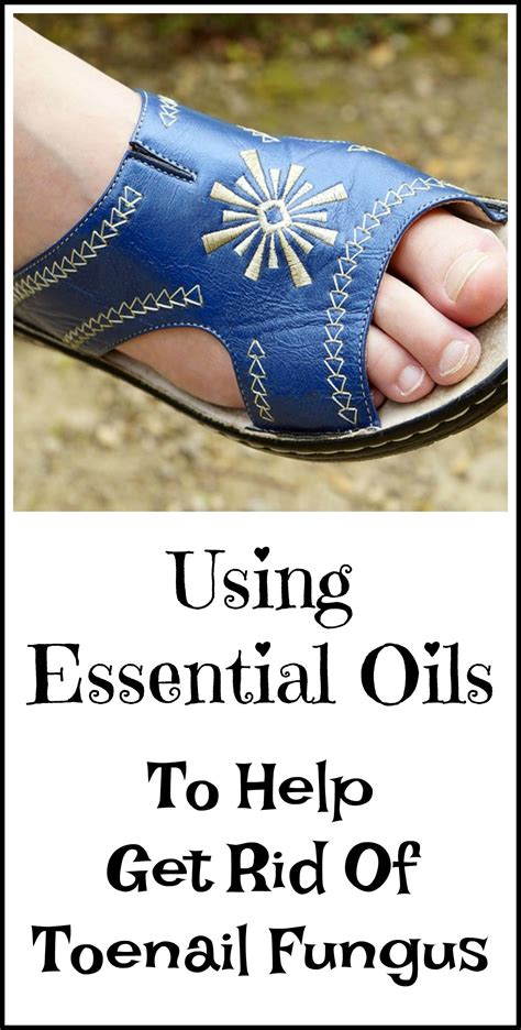 Essential Oils Good For Toenail Fungus Essential Oils Toenail Fungus Remedies Essential