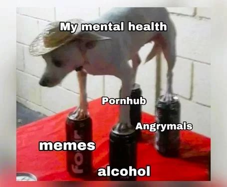 25 Mental Health Memes for World Mental Health Day - Chameleon Memes ...