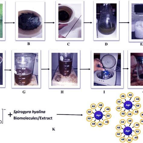 Various Applications Of Silver Nanoparticles Download Scientific Diagram