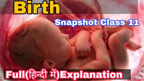 Birth Snapshot Class 11 Full हिन्दी में Explained Animation Educational Guru Youtube